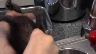 We squeeze the poo out of "Bru"