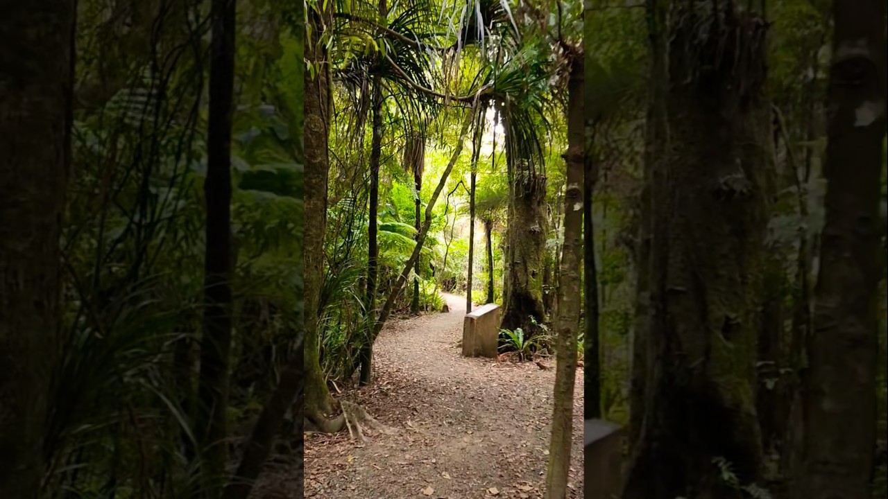 YouTube Short thumbnail