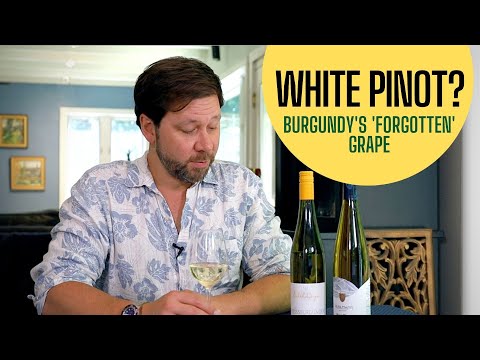 New Wine Recommendations: Pinot Blanc - The Other Pinot