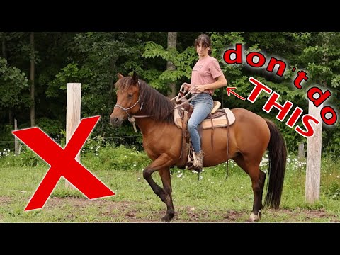 Avoid These 5 Common Horse Riding MISTAKES!