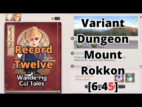Ffxiv Mount Rokkon Record Twelve Guide
