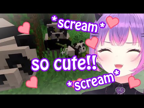 Mirumoru Ch. (Hololive Clips & Subs) - Towa Cute Reaction When She Found Panda & Baby Panda in Minecraft 【Hololive ENG Sub】