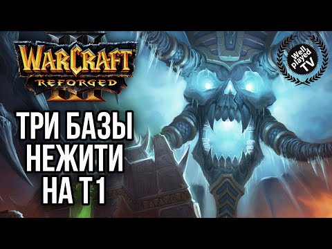 ТРИ БАЗЫ НЕЖИТИ ДО ТЕХНОЛОГИЙ: Warcraft 3 Reforged