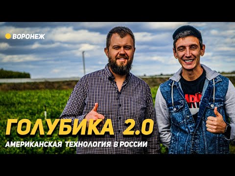 , title : 'Голубика 2.0 Американская технология в России'