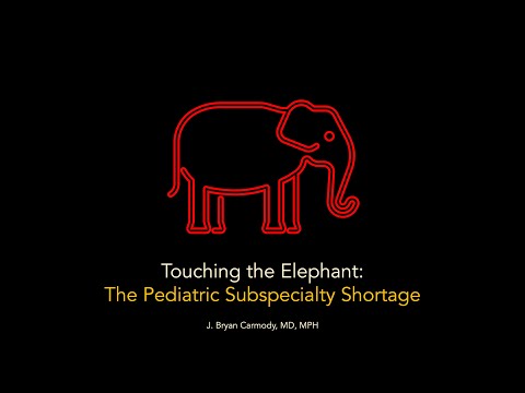 Touching the Elephant: The Pediatric Subspecialty Shortage