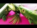 How To Make Cucumber Decoration Cucumber Art Fruit Carving Cucumber Garnishes