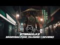 BRODYAGA FUNK SLOWED REVERB 1 HOUR