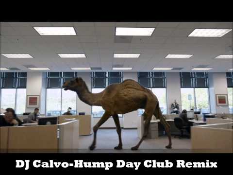Baltimore Club Music- Geico- Hump Day Remix (DJ Calvo)