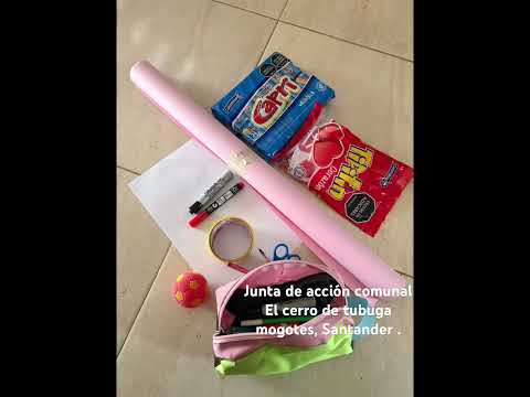 Junta de acción comunal el cerro de tubuga- mogotes , Santander.