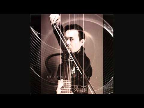 Susumu Hirasawa - WIRESELF (Kangenshugi Version)