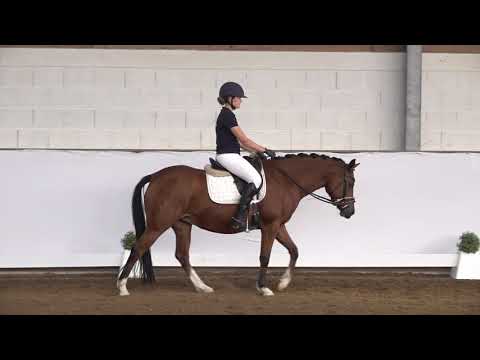 3j. Stute v. Quaterbacks Junior