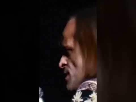 You stupid Sheep! // Klaus Kinski