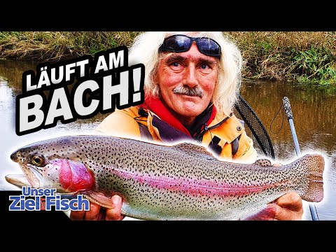 WILD TROUT with SPECIAL TACTICS: BIG SURPRISE at the STREAM! Our goal is fish JÖRG OVENS