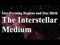 The Interstellar Medium: The Gas and Dust of Past and Future Stars