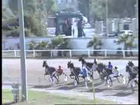 MEETING (19) Date 12-5-2013 PART 1 RACE 1,2,3,4,5,6,7,8,9,10