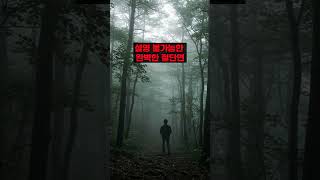 Download lagu 1980년 치악산 미스터리 사건 진실은 숲에 묻혔다 #미제사건 #공포 mp3