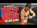TRICEP Workout Without Weights - Complete Follow Along (Bodyweight At-Home Routine!)