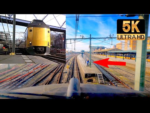 [5K] Emergency stop for a herd of deer & spotters: Amersfoort - Groningen CABVIEW HOLLAND 31jan 2021