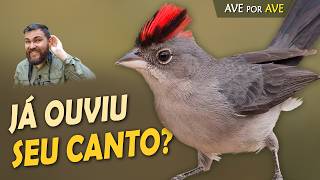 Miniatura do vídeo