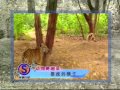 Monkeywithadeathwish
