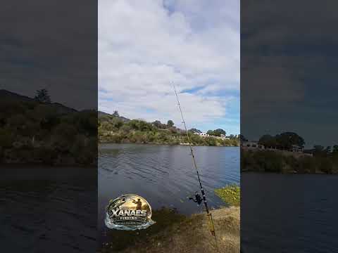 Pesca en el Labio del Indio (Bialet Massé) #pesca #cordoba