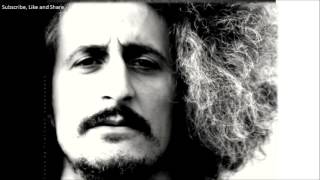 Mohsen Namjoo - Zolf Bar Bad Lyrics Audio متن آهنگ زلف برباد - محسن نامجو