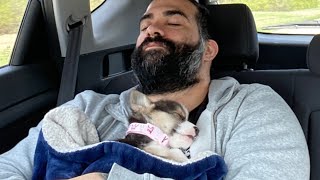 Puppy’s First Road Trip