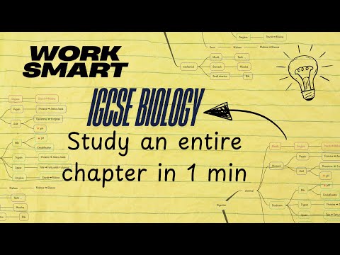 If you're taking IGCSE Biology in 2026? This will save hours of revision