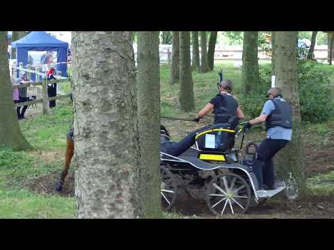 Fahrturnier Alfhausen 22.5.2022