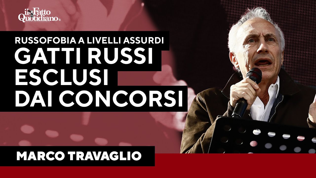 Travaglio: "Russofobia? I gatti russi esclusi dai concorsi felini, non è una barzelletta"