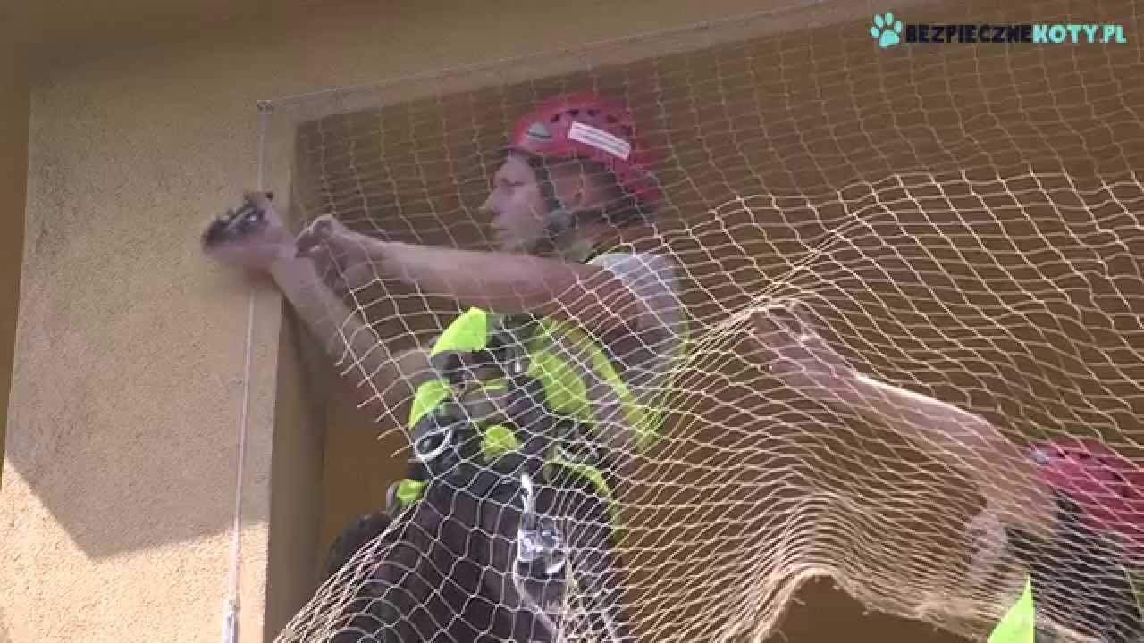 Siatka dla kota na balkon. Jak zabezpieczyć balkon dla kota.