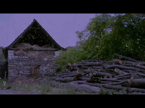 Rain & Thunder Sounds for Sleeping & Relaxation |10 Hours of Sleep Sounds | Relaxing White Noise