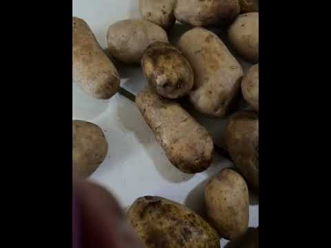Aldi Grocery - I have damaged vegetables yesterday I ordered from online - Image 3