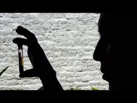 Quando la persona ha parassiti che i sintomi Parassiti in un trattamento di fegato da erbe