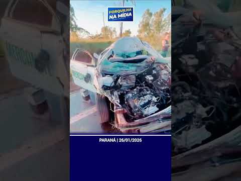 Motorista atropela bovino na PR-323 e fica ferido em Cafezal do Sul