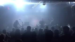 Odonis Odonis LIVE at The Echoplex by DingoSaidSo