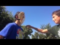 Scary Movie A Parody