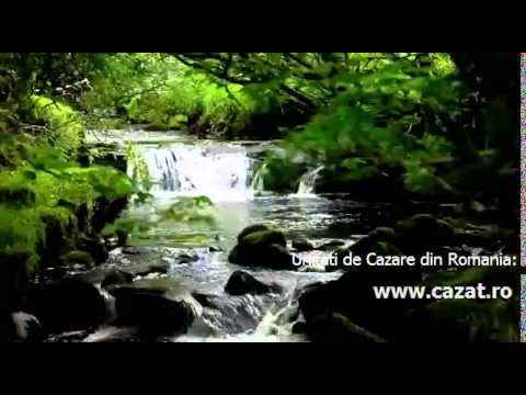 Cazare Retevoiesti, Arges - Cazat.ro