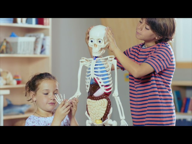 Vídeo relacionado con SIFOEL 165cm Esqueleto móvil de Hueso Humano de tamaño Real Real con articulaciones móviles para la decoración de Casas embrujadas de Halloween (1)