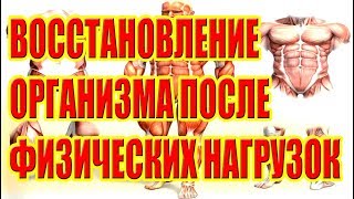ВОССТАНОВЛЕНИЕ ОРГАНИЗМА ПОСЛЕ ФИЗИЧЕСКИХ НАГРУЗОК