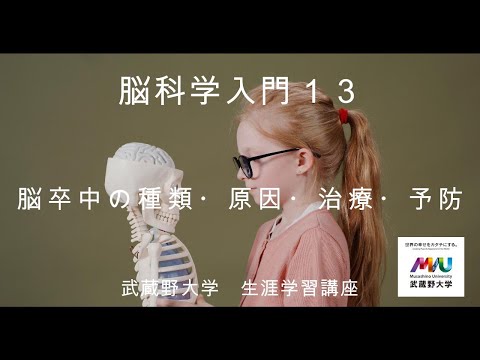 経済学科 脳科学入門13 脳卒中の種類・原因・治療・予防