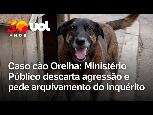 Ex-delegado-geral ligado ao caso Orelha critica Polícia Civil de SC ...