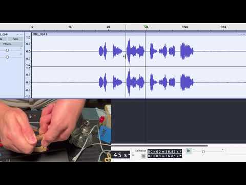 Squeak in 9 Octaves careful with your speakers and ears!