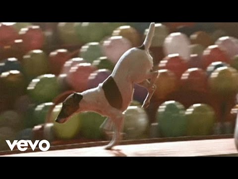 Suddenly I See by KT Tunstall