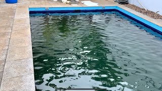 Swimming pool water turns green after shock-fix without chemicals