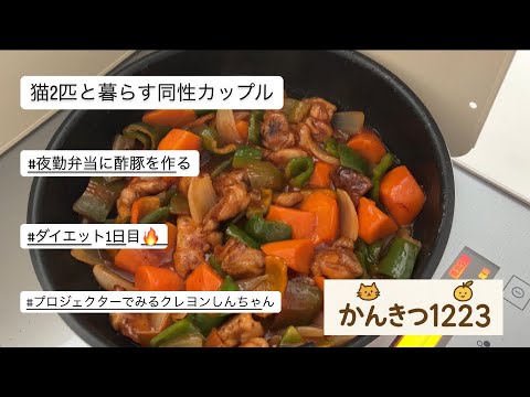かんきつVlog20|同性カップル|酢豚|ダイエット1日目|プロジェクター|クレヨンしんちゃん|