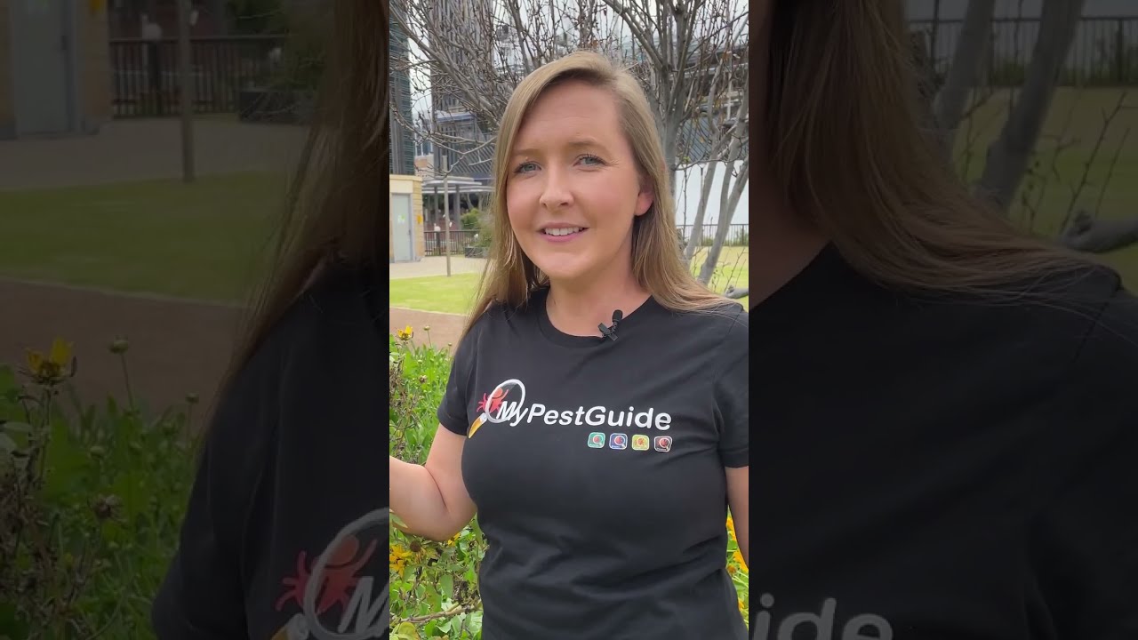 MyPestGuide Reporter app walkthrough