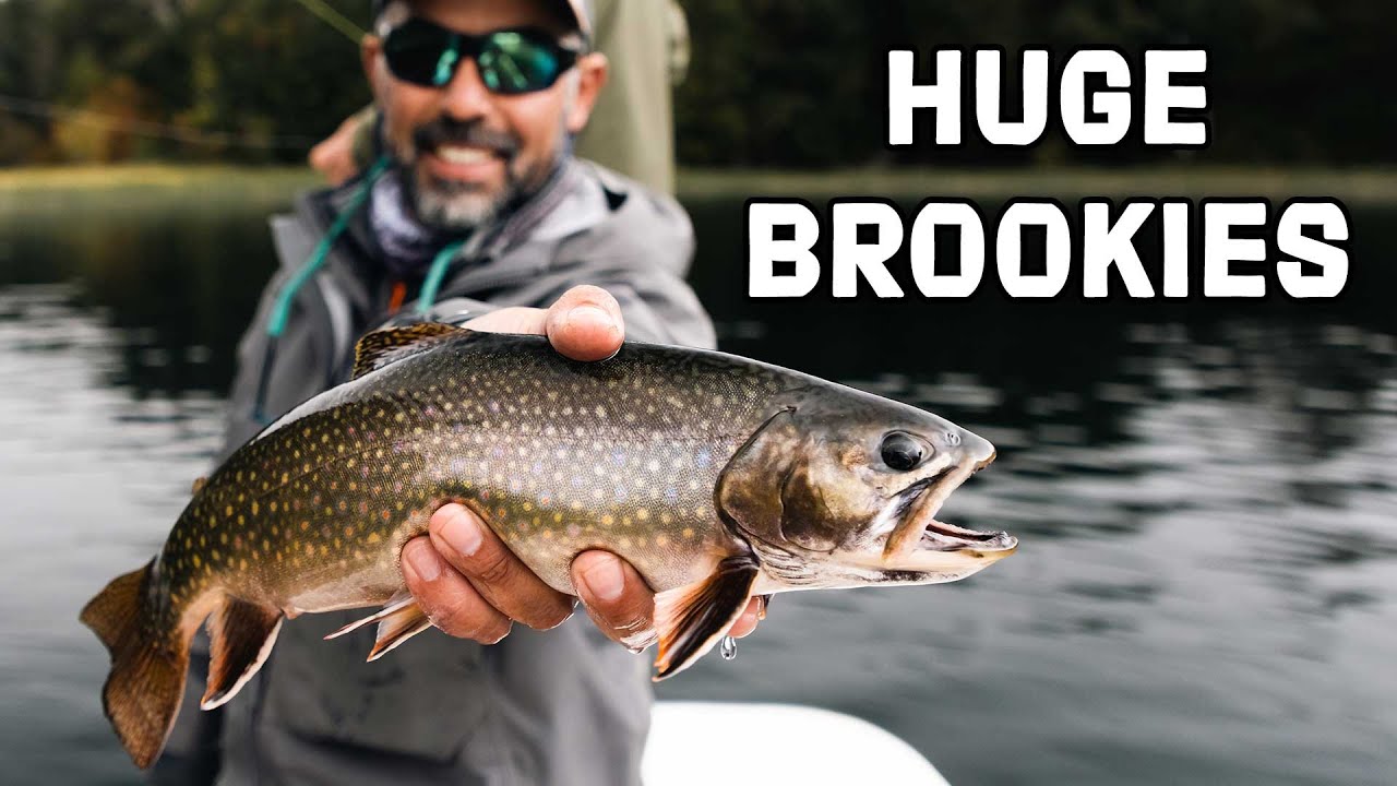 Rio Manso Lodge - Video