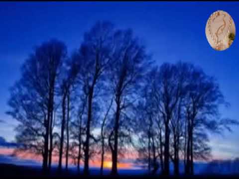 MEDITAÇÃO 2 Você pode Curar sua Vida Enquanto Dorme! 2hs. Guiada por Louise Hay.