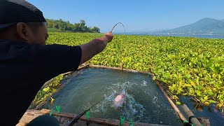 Download lagu CAMP FISHING Ep.549 Just like an aquarium, you can see all the fish, cooking the catch immediatel... mp3 Download lagu CAMP FISHING Ep.549 Just like an aquarium, you can see all the fish, cooking the catch immediatel... mp3
